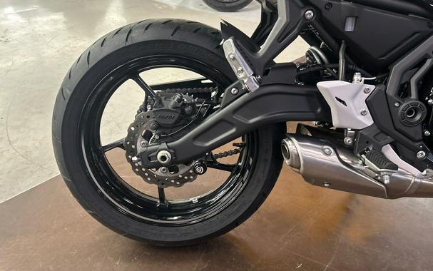 2025 Kawasaki Ninja® 650 ABS