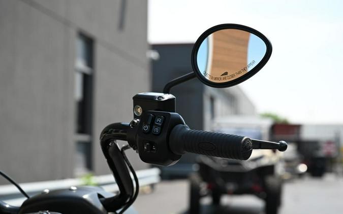 2025 Indian Motorcycle® Springfield ® Dark Horse® Moss Green Smoke