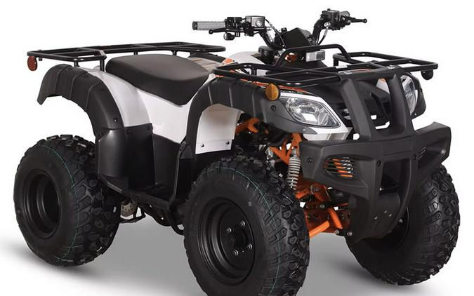 2025 Kayo Bull 150 EFI