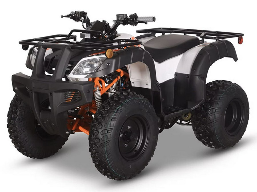 2025 Kayo Bull 150 EFI
