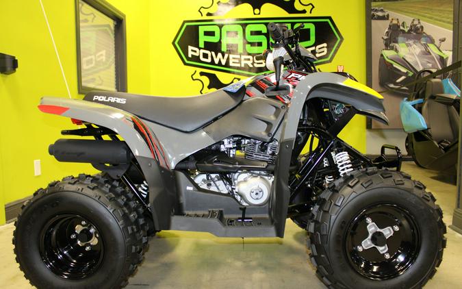 2024 Polaris Industries PHOENIX 200 / A24YAP20A4