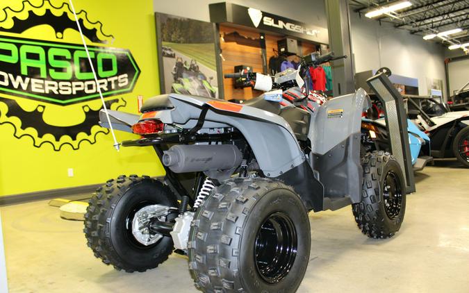 2024 Polaris Industries PHOENIX 200 / A24YAP20A4