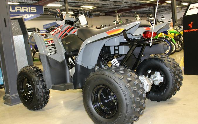 2024 Polaris Industries PHOENIX 200 / A24YAP20A4