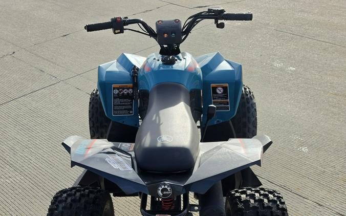 2026 Can-Am Renegade 110 EFI