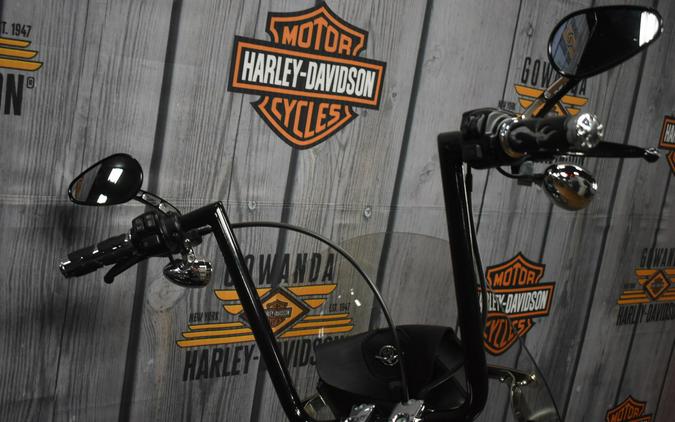 FLFBS 2018 Fat Boy® 114