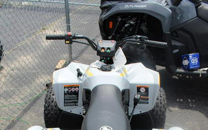 2024 Can-Am® Renegade 110 EFI