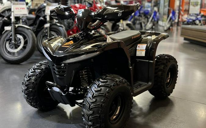 2026 Denago Powersports E-Hawk 6