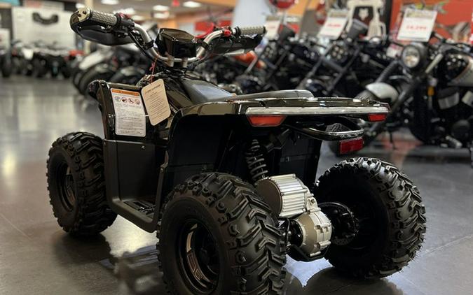 2026 Denago Powersports E-Hawk 6