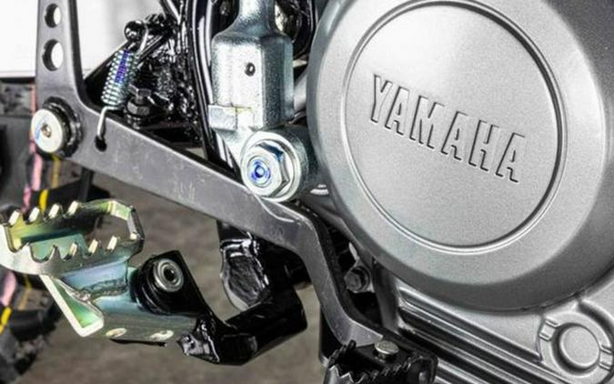 2026 Yamaha TT-R 125LE