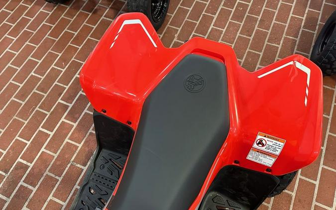 2024 CFMOTO CFORCE 110