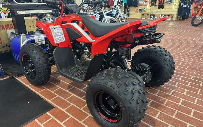 2024 CFMOTO CFORCE 110