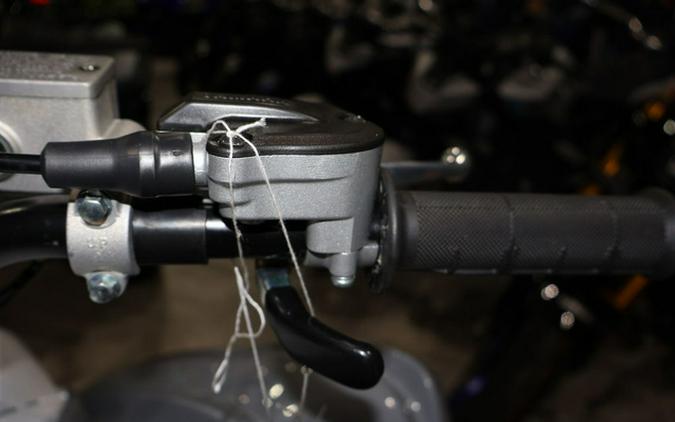 2026 Yamaha Raptor 700