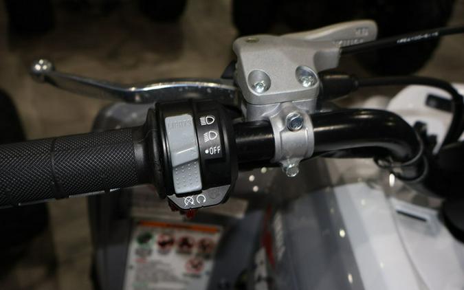 2026 Yamaha Raptor 700