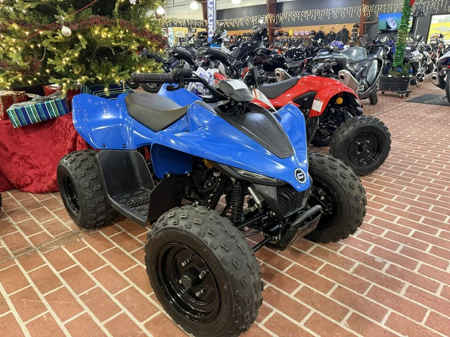 2024 CFMOTO CFORCE 110