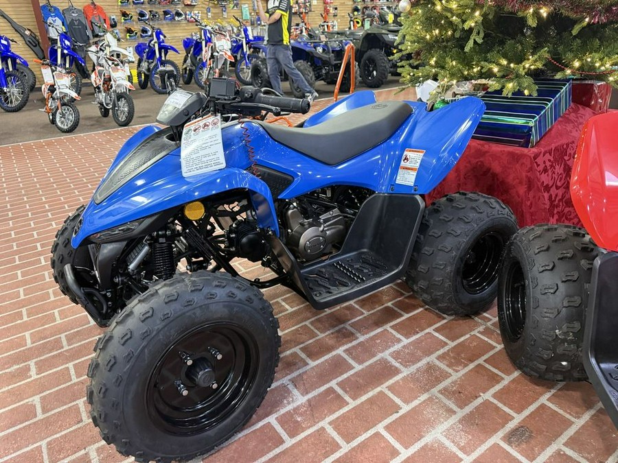 2024 CFMOTO CFORCE 110