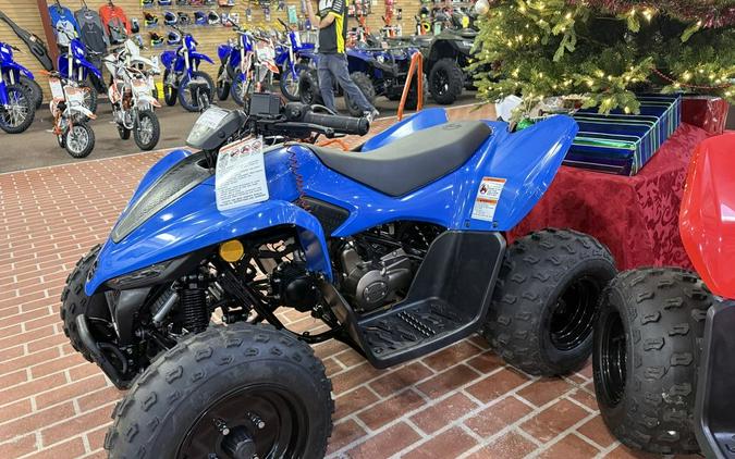 2024 CFMOTO CFORCE 110