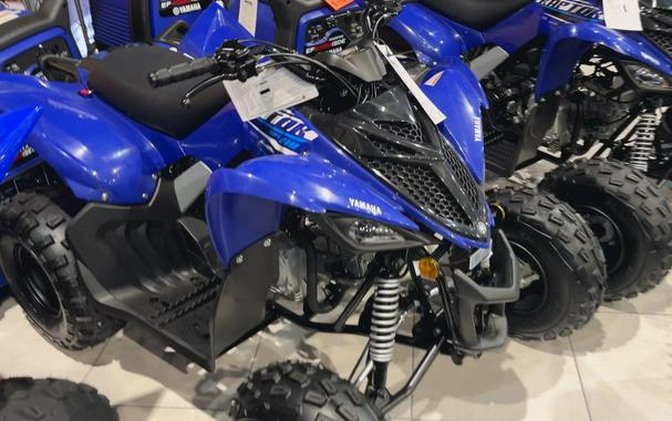 2026 Yamaha RAPTOR 110