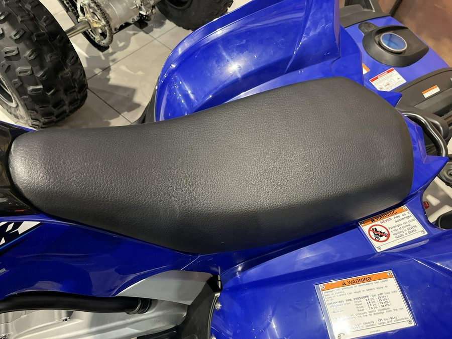 2026 Yamaha RAPTOR 110