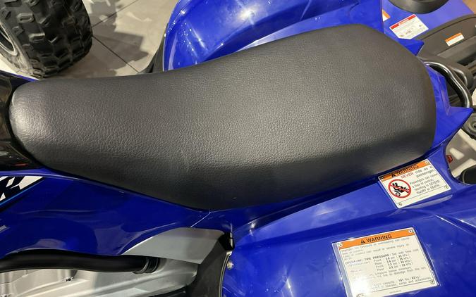 2026 Yamaha RAPTOR 110