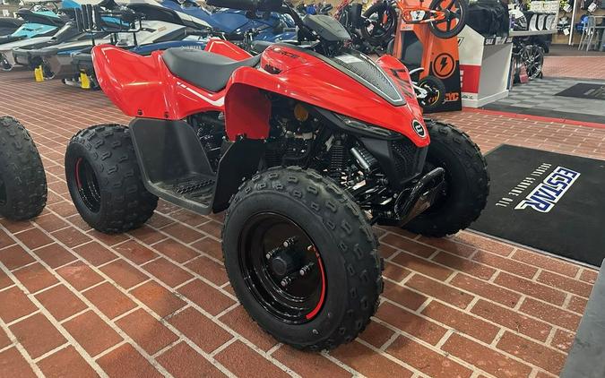 2024 CFMOTO CFORCE 110