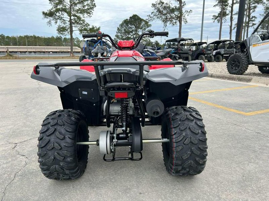 2025 Yamaha Grizzly 110