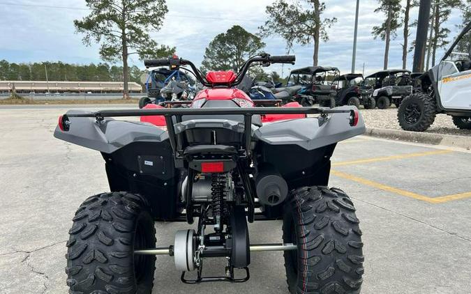 2025 Yamaha Grizzly 110