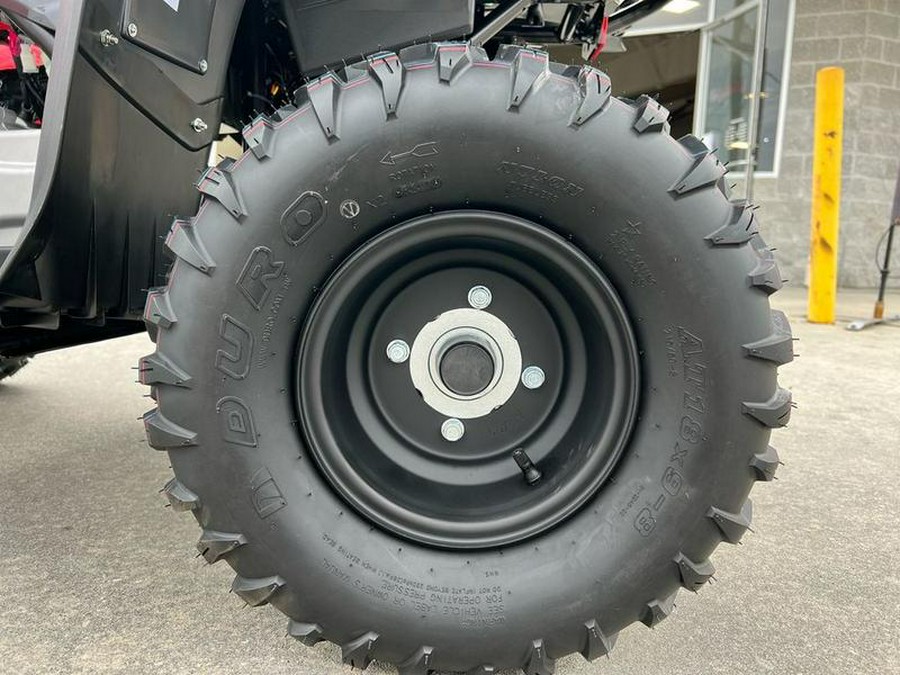 2025 Yamaha Grizzly 110