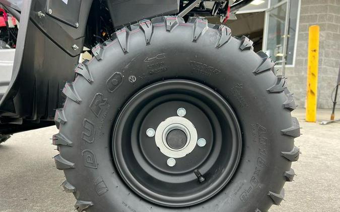 2025 Yamaha Grizzly 110