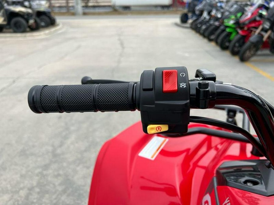 2025 Yamaha Grizzly 110