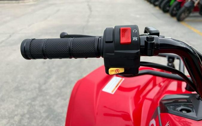 2025 Yamaha Grizzly 110