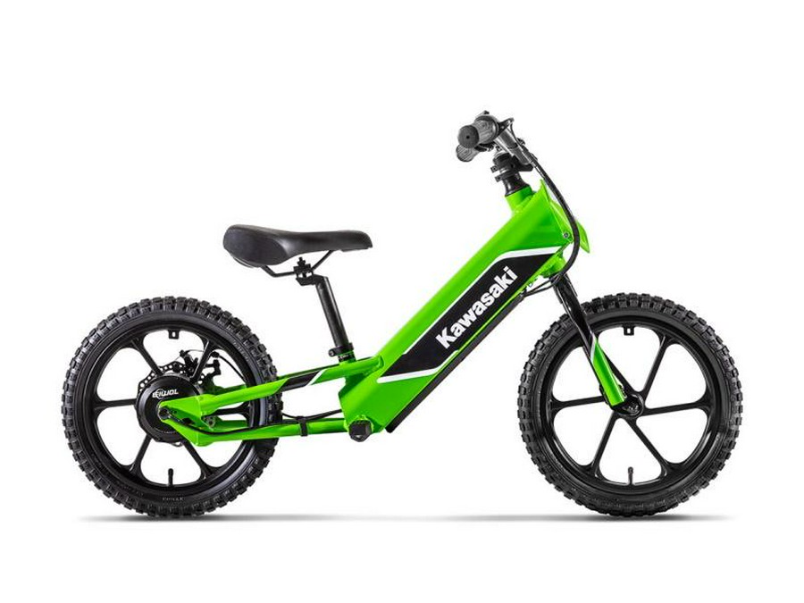 2024 Kawasaki Elektrode™