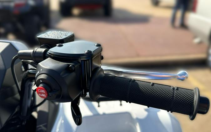 2025 Kawasaki BRUTE FORCE 450 4x4