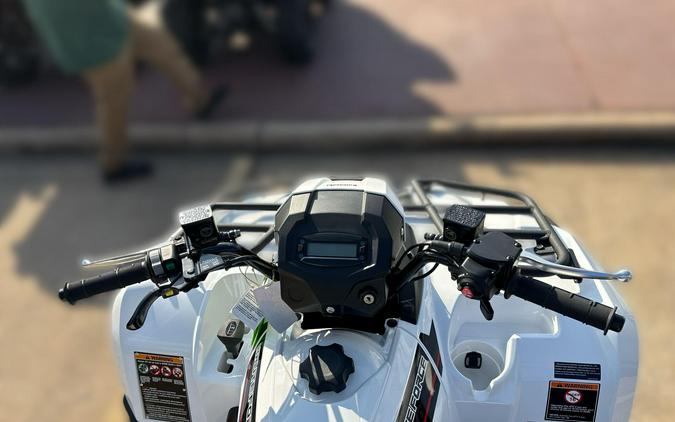 2025 Kawasaki BRUTE FORCE 450 4x4