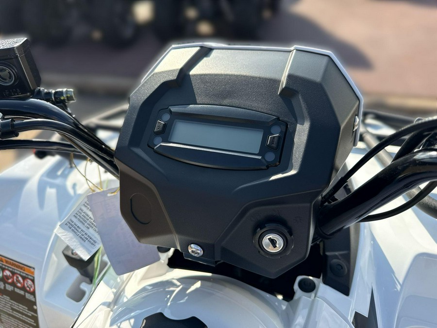 2025 Kawasaki BRUTE FORCE 450 4x4