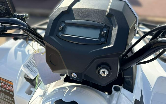 2025 Kawasaki BRUTE FORCE 450 4x4