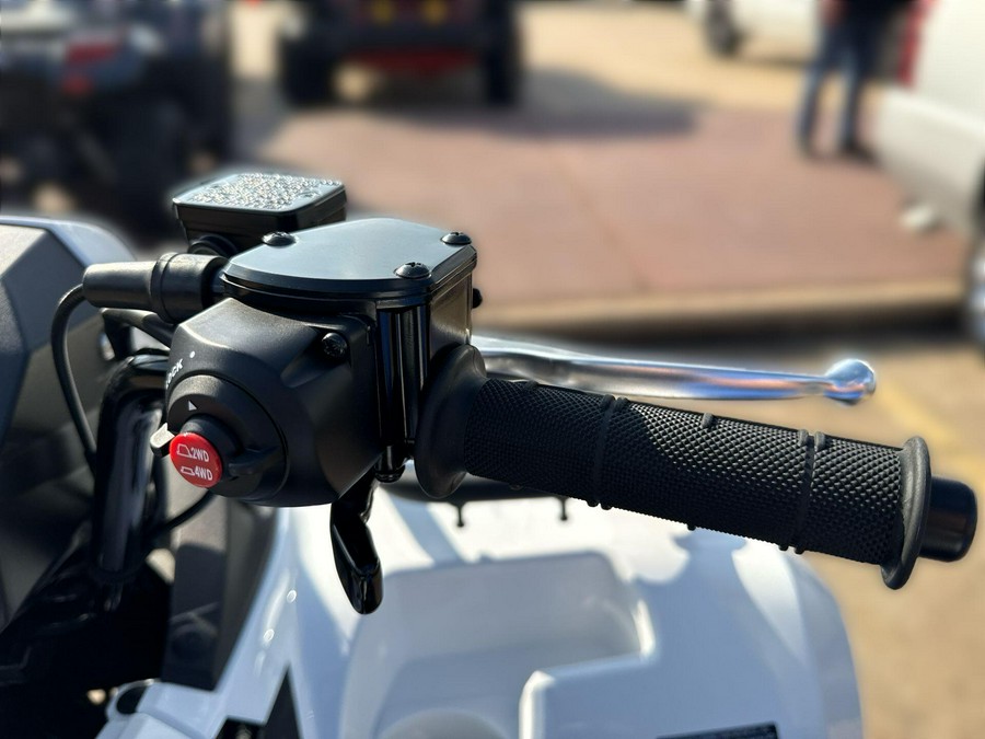 2025 Kawasaki BRUTE FORCE 450 4x4