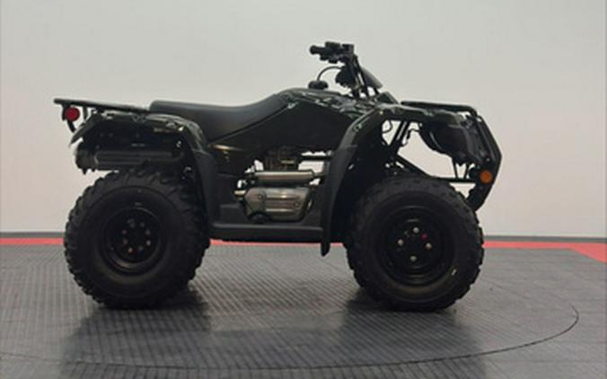 2026 Honda FourTrax Recon 250X