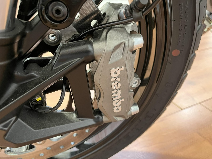 2024 Ducati SCRAMBLER ICON 800