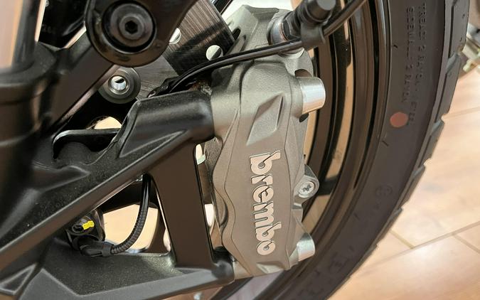 2024 Ducati SCRAMBLER ICON 800