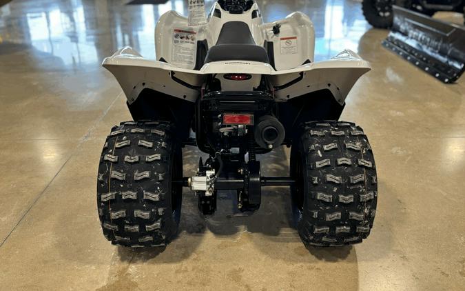 2026 Kawasaki KFX®90