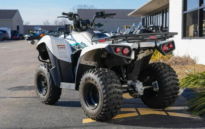 2022 Kawasaki Brute Force® 300