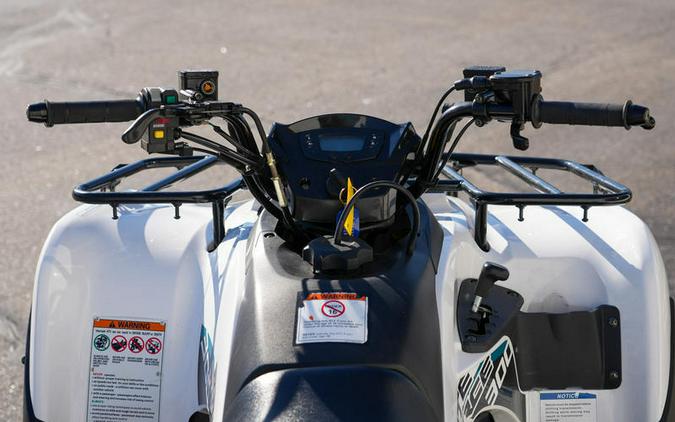 2022 Kawasaki Brute Force® 300