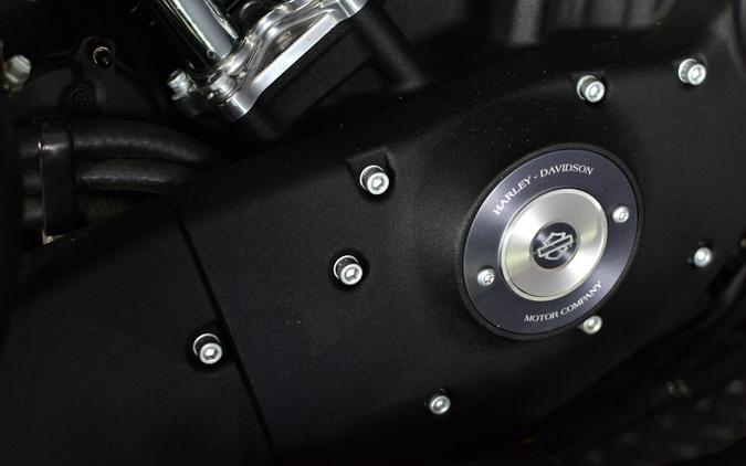 2019 Harley-Davidson Iron 883 Black Denim