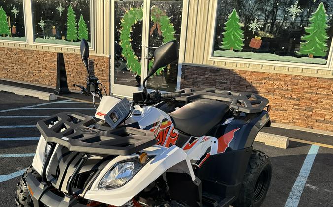 2025 Kayo Bull 300 EFI