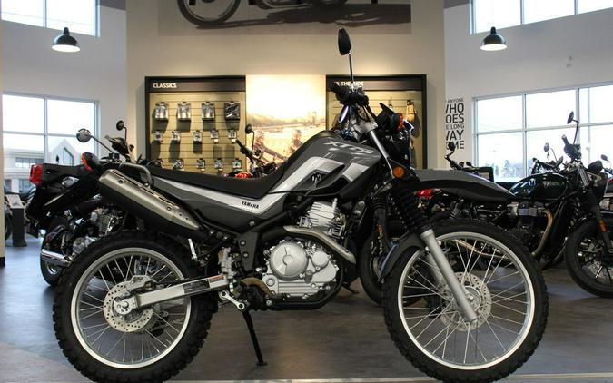 2024 Yamaha XT 250