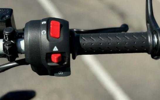 2024 Triumph Speed 400 Phantom Black / Storm Grey