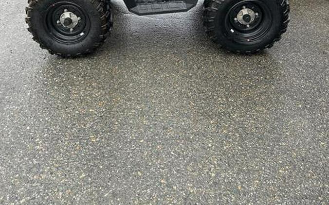 2024 Polaris Sportsman 450 H.O. EPS