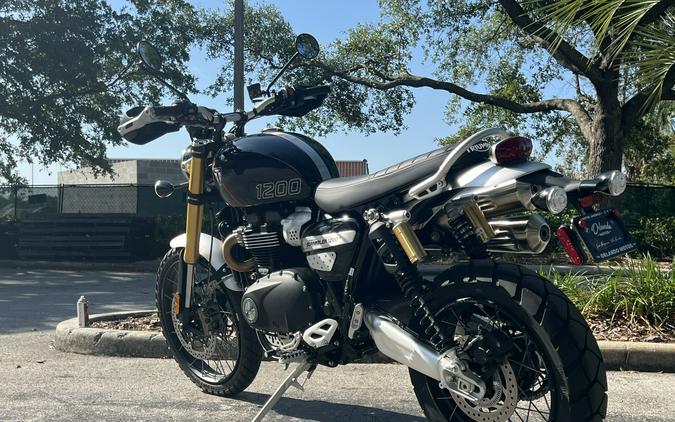 2024 Triumph Scrambler