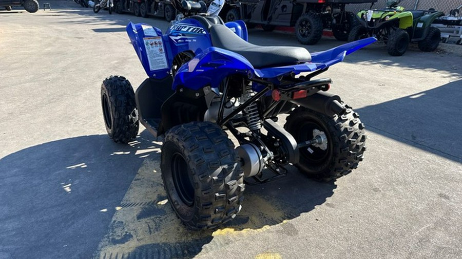 2026 Yamaha Raptor 110