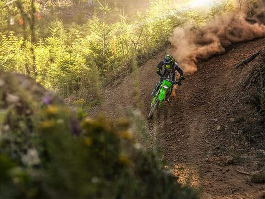 2026 Kawasaki KLX 300